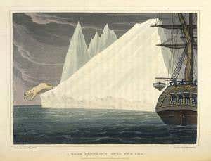 Polar bear dives into Arctic sea near explorers' grave