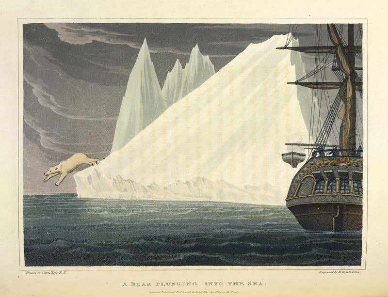 New Scientist. Science news and long reads from expert journalists, covering developments in science, technology, health and the environment on the website and the magazine.