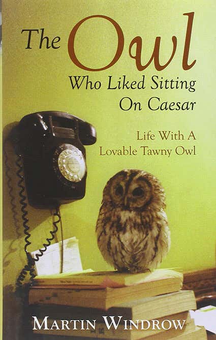 Win these 10 great popular science books for Christmas