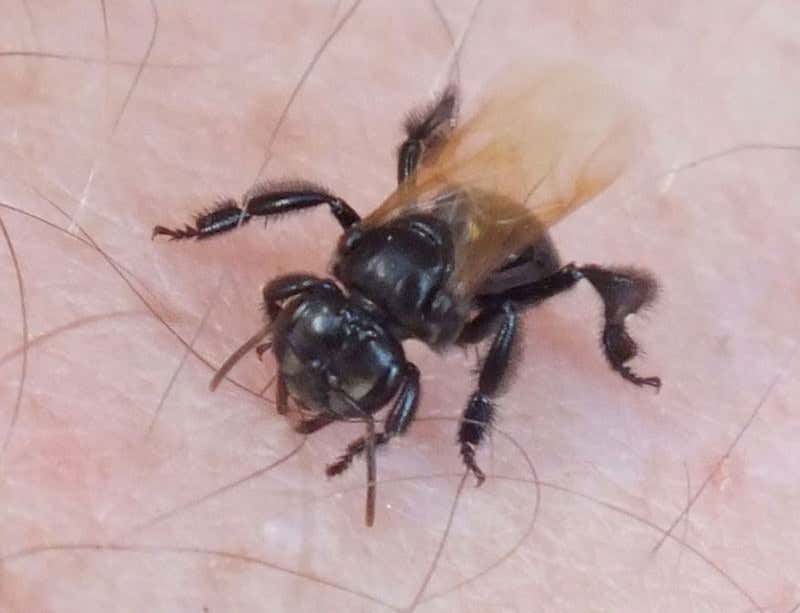 New Scientist. Science news and long reads from expert journalists, covering developments in science, technology, health and the environment on the website and the magazine.