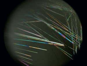 Enter the kaleidoscopic world of cancer drug crystals