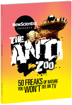 New Scientist. Science news and long reads from expert journalists, covering developments in science, technology, health and the environment on the website and the magazine.