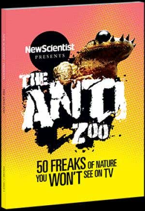 A walk on the wild side