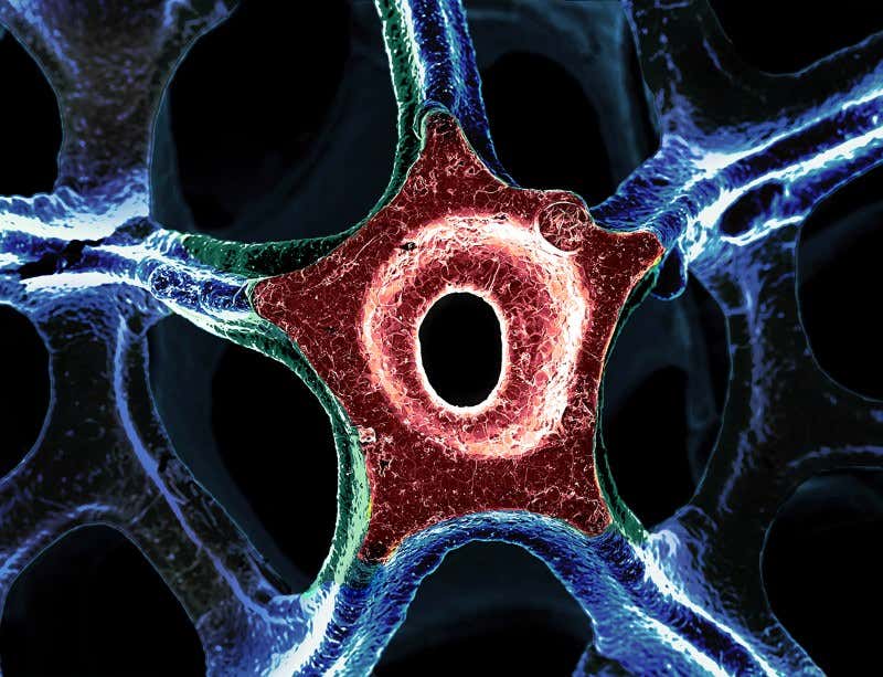 New Scientist. Science news and long reads from expert journalists, covering developments in science, technology, health and the environment on the website and the magazine.