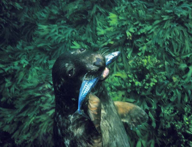 New Scientist. Science news and long reads from expert journalists, covering developments in science, technology, health and the environment on the website and the magazine.