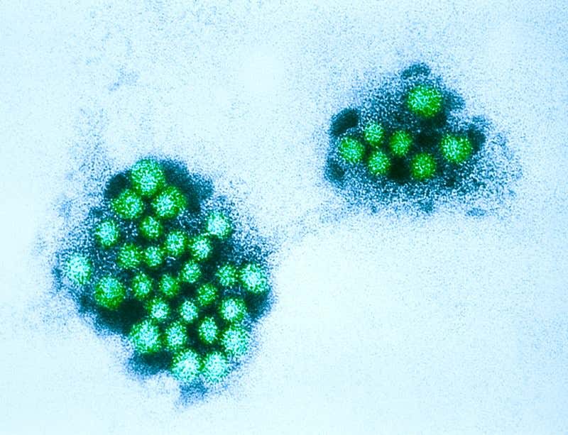 New Scientist. Science news and long reads from expert journalists, covering developments in science, technology, health and the environment on the website and the magazine.