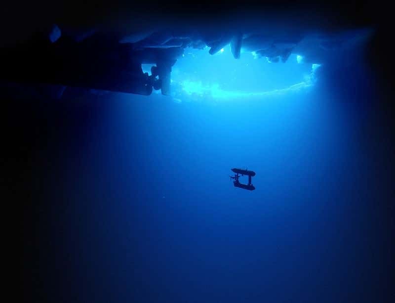 New Scientist. Science news and long reads from expert journalists, covering developments in science, technology, health and the environment on the website and the magazine.