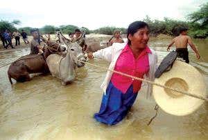 Severe El Niño stunted Peruvian children's height