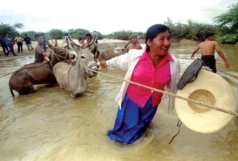 New Scientist. Science news and long reads from expert journalists, covering developments in science, technology, health and the environment on the website and the magazine.