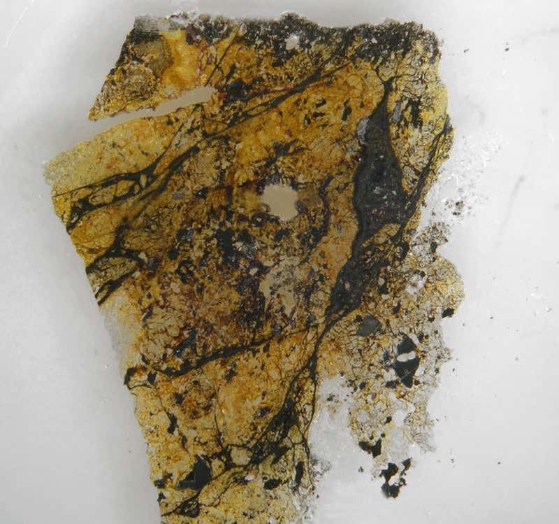 New Scientist. Science news and long reads from expert journalists, covering developments in science, technology, health and the environment on the website and the magazine.