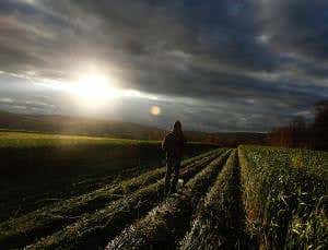 TTIP: Europe will still be safe – but more sensible