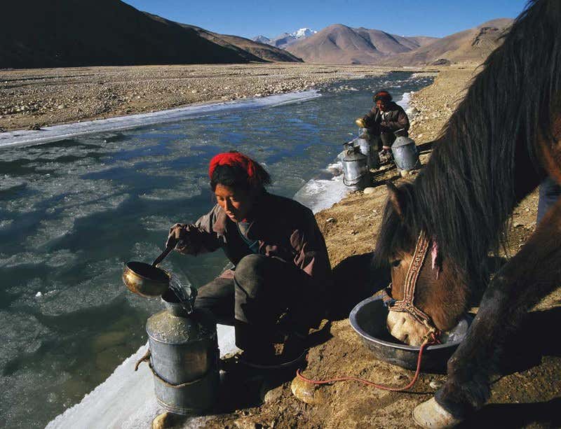 New Scientist. Science news and long reads from expert journalists, covering developments in science, technology, health and the environment on the website and the magazine.