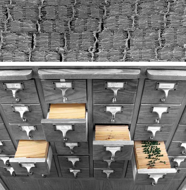 New Scientist. Science news and long reads from expert journalists, covering developments in science, technology, health and the environment on the website and the magazine.