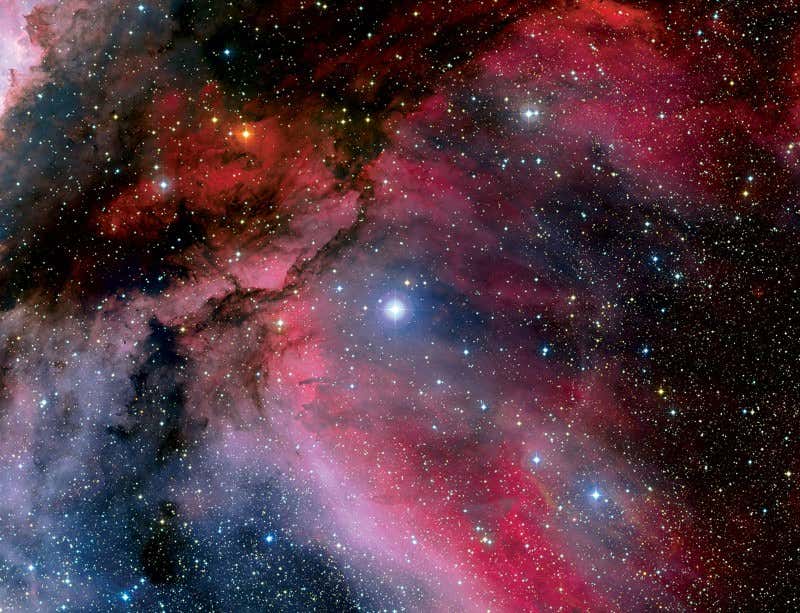 New Scientist. Science news and long reads from expert journalists, covering developments in science, technology, health and the environment on the website and the magazine.