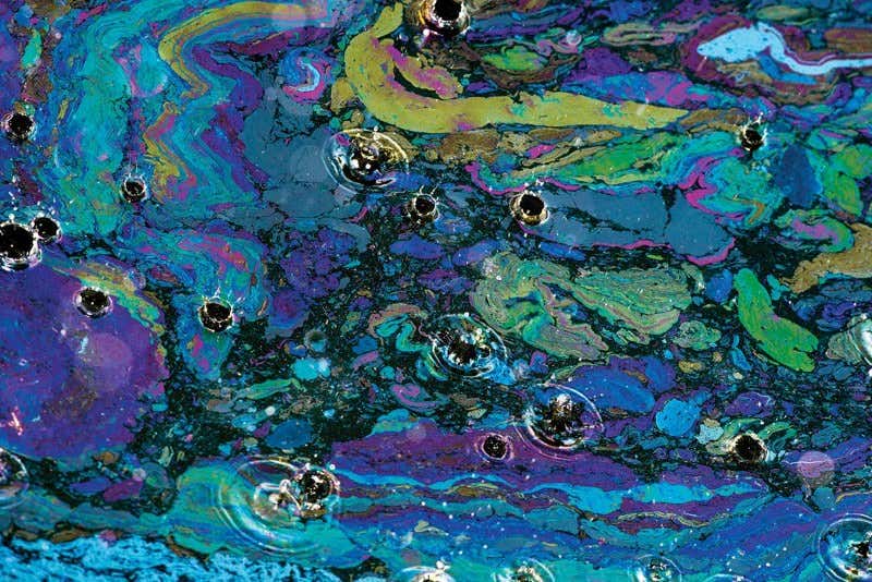 New Scientist. Science news and long reads from expert journalists, covering developments in science, technology, health and the environment on the website and the magazine.