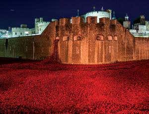 Automated killer robots come with enormous risks