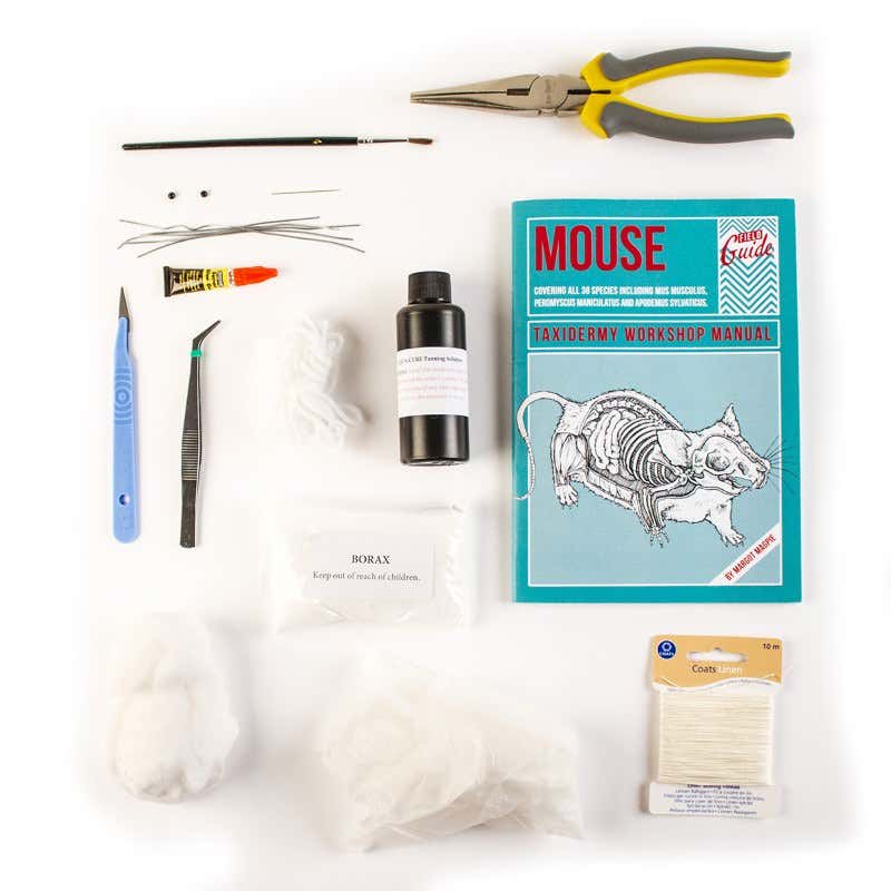 In need of seasonal gift-buying inspiration?