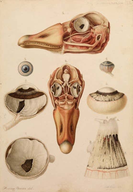 In need of seasonal gift-buying inspiration?