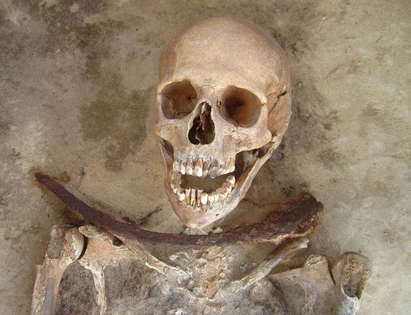 New Scientist. Science news and long reads from expert journalists, covering developments in science, technology, health and the environment on the website and the magazine.