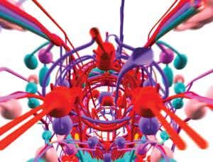 First digital animal will be perfect copy of real worm