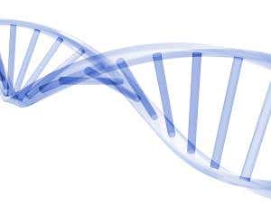 Synthetic enzymes hint at life without DNA or RNA