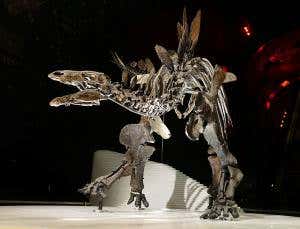 Meet the most complete stegosaurus ever found