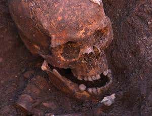Genetic analysis confirms Richard III skeleton find