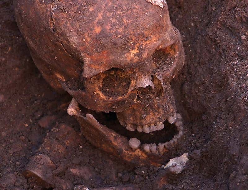 New Scientist. Science news and long reads from expert journalists, covering developments in science, technology, health and the environment on the website and the magazine.