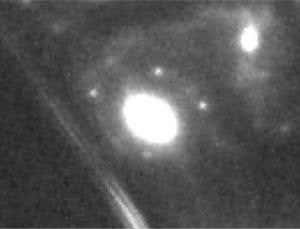 New Scientist. Science news and long reads from expert journalists, covering developments in science, technology, health and the environment on the website and the magazine.