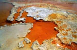 New Scientist. Science news and long reads from expert journalists, covering developments in science, technology, health and the environment on the website and the magazine.