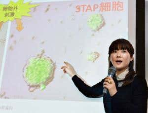 Acid bath stem-cell scientist can't reproduce results