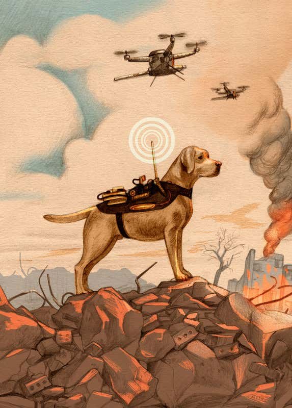 New Scientist. Science news and long reads from expert journalists, covering developments in science, technology, health and the environment on the website and the magazine.