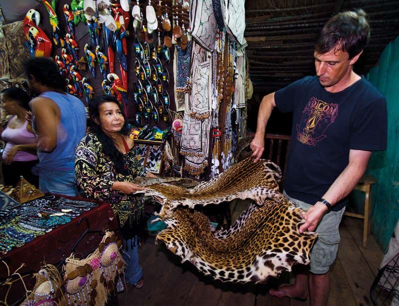 New Scientist. Science news and long reads from expert journalists, covering developments in science, technology, health and the environment on the website and the magazine.