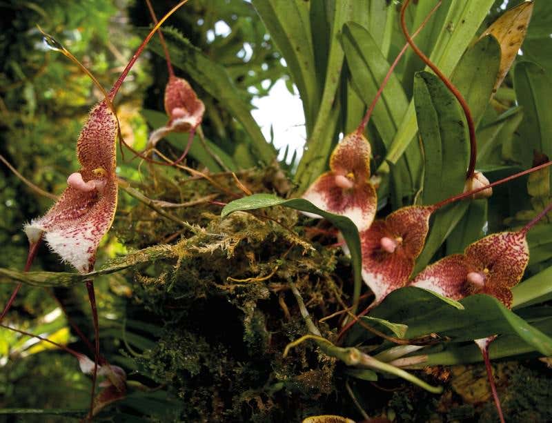 New Scientist. Science news and long reads from expert journalists, covering developments in science, technology, health and the environment on the website and the magazine.