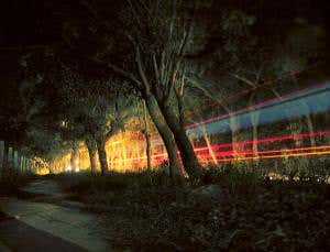 Locked-on lasers burn through leaves on train lines