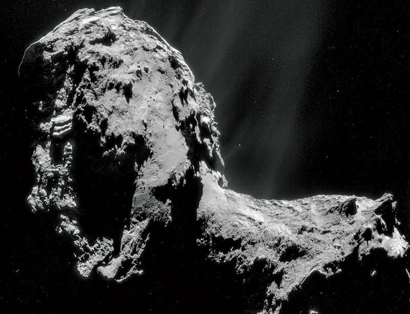 New Scientist. Science news and long reads from expert journalists, covering developments in science, technology, health and the environment on the website and the magazine.