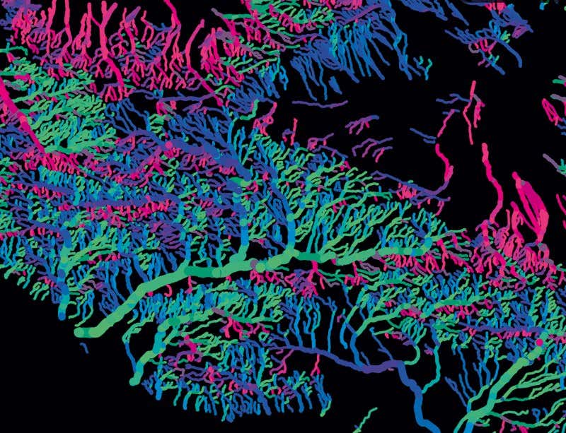 New Scientist. Science news and long reads from expert journalists, covering developments in science, technology, health and the environment on the website and the magazine.