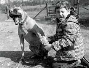 The mystery of yawning: We all do it, but why?