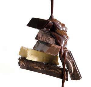 The real Oompa-Loompas: Microbes that make chocolate