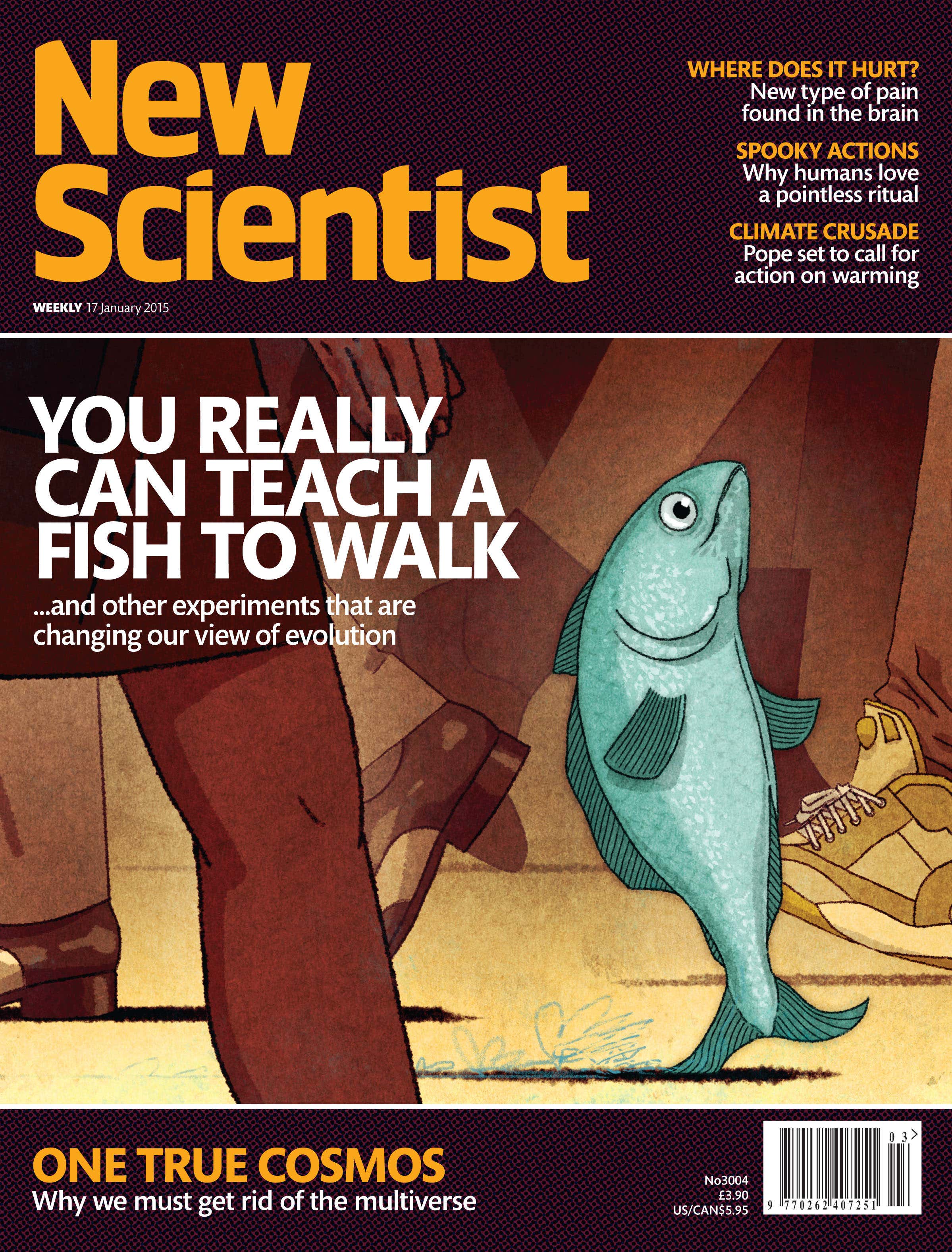 New Scientist issue 3004 cover