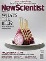New Scientist issue 3005 cover