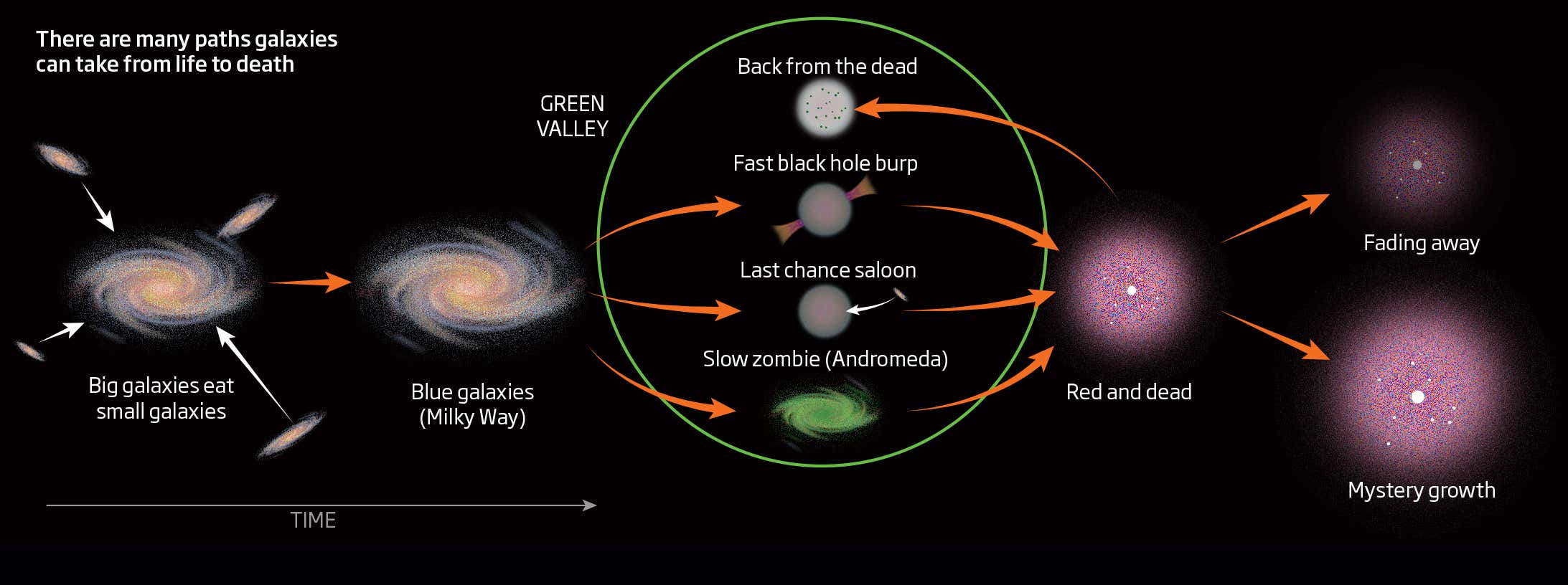 There are many paths galaxies can take from life to death