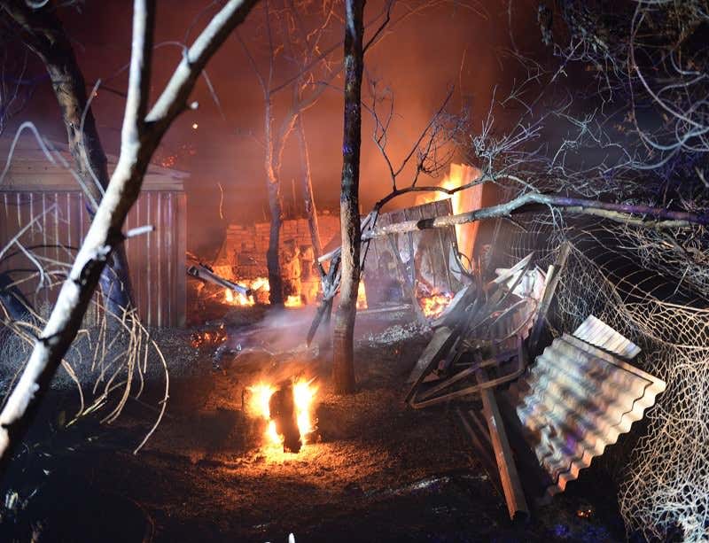 New Scientist. Science news and long reads from expert journalists, covering developments in science, technology, health and the environment on the website and the magazine.