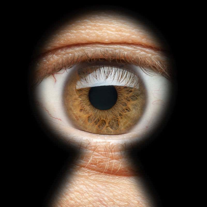 New Scientist. Science news and long reads from expert journalists, covering developments in science, technology, health and the environment on the website and the magazine.