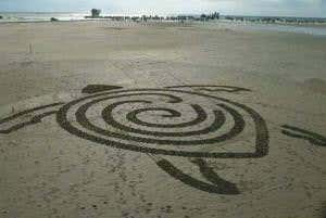 Robot sand artist turns beach into giant canvas