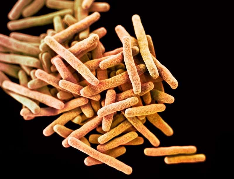 New Scientist. Science news and long reads from expert journalists, covering developments in science, technology, health and the environment on the website and the magazine.