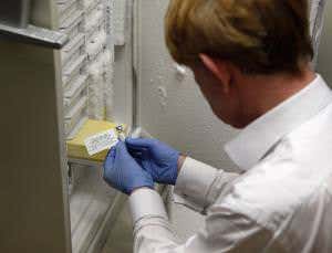 Drug trials begin as Ebola plays hide-and-seek