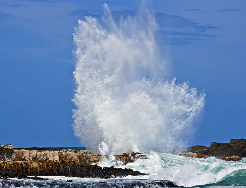 Female ejaculation comes in two forms, scientists find