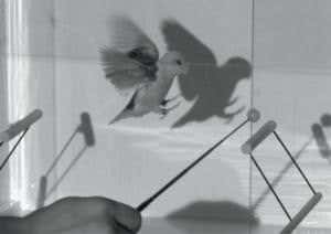 If birds in a truck fly, does the truck get lighter?