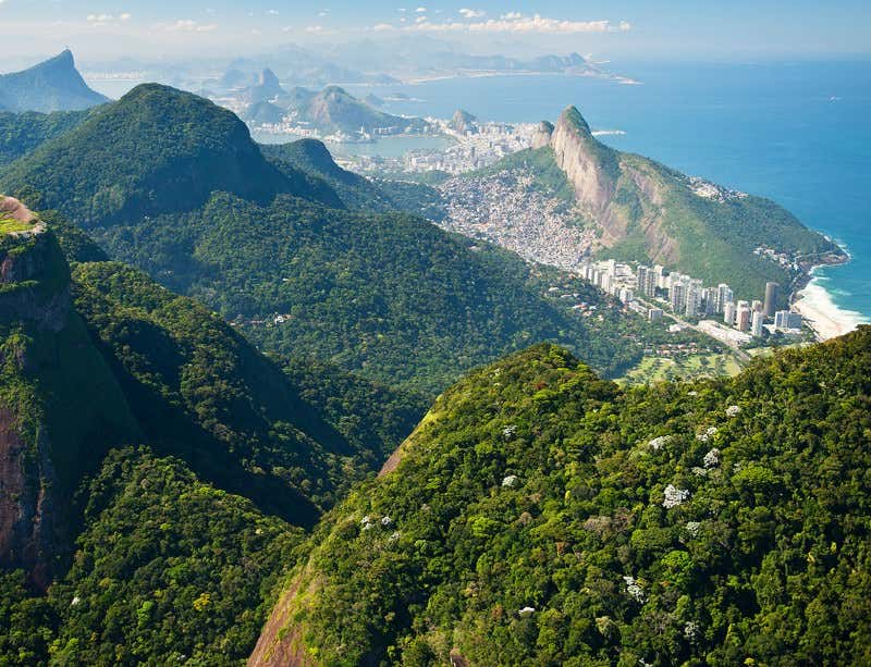 New Scientist. Science news and long reads from expert journalists, covering developments in science, technology, health and the environment on the website and the magazine.